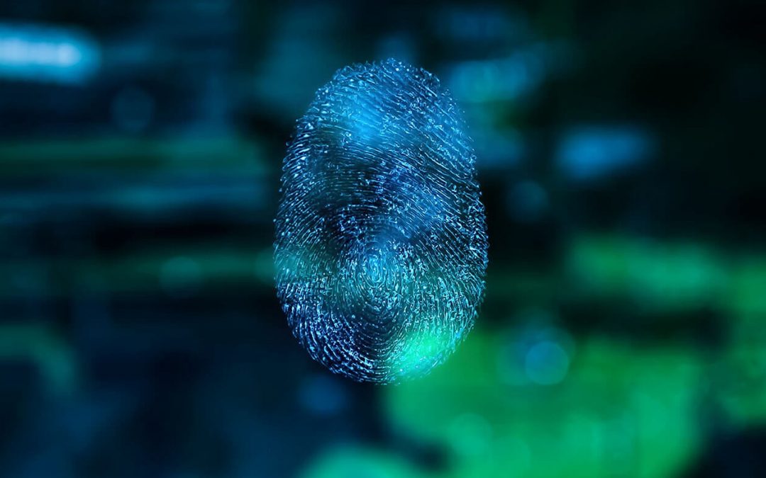 Basic knowledge: The digital identity